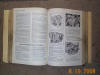 DCP06714.JPG (128878 bytes)